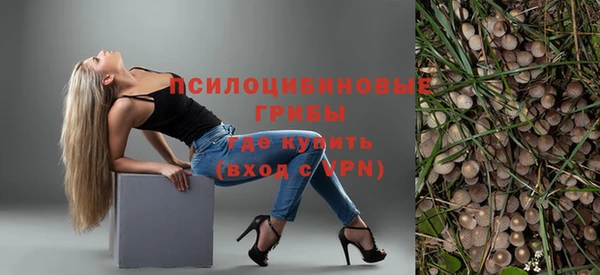 бошки Алзамай